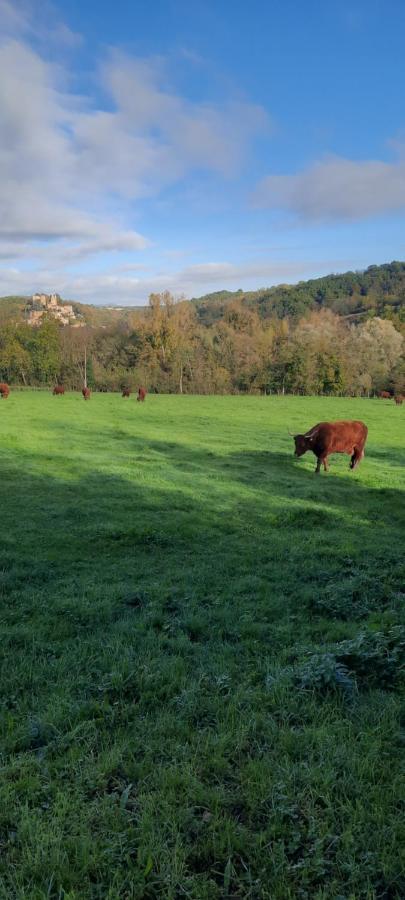Вилла Le Cocon Beaujolais Chatillon  Экстерьер фото